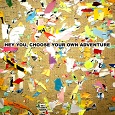 choose your own adventure - cover